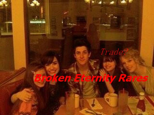 3473044122_526943feff - Demi Lovato and David Henrie