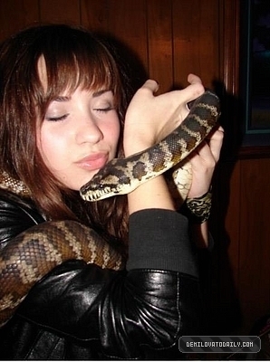 demiiii-snake-demi-lovato-9103248-298-400