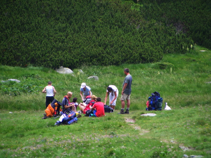 tinerete ,voiosie si pregatiri probabil  pentru o alta tura - Rododendronul in rezervatia Pietrosul_Rodnei 13_14 iunie 2010