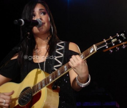 demi-brasil-2-7-530x452