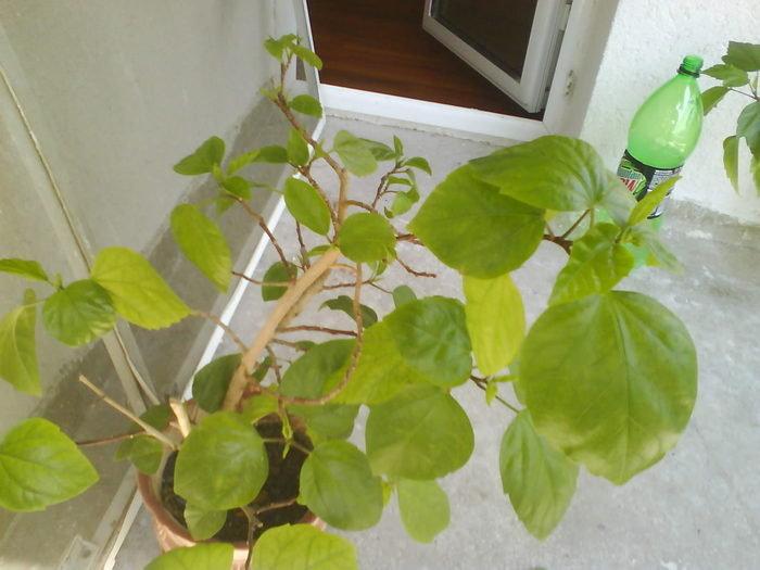 DSC00750