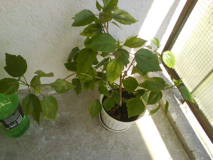 DSC00751