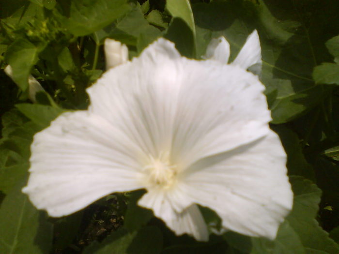 DSC00765