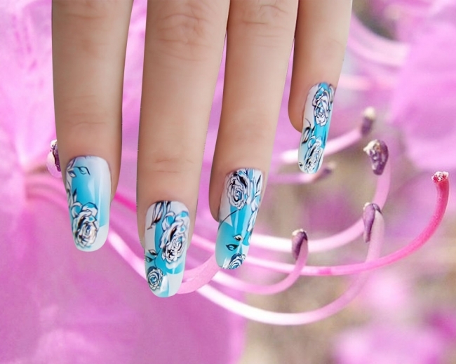 1837781[1] - Nails