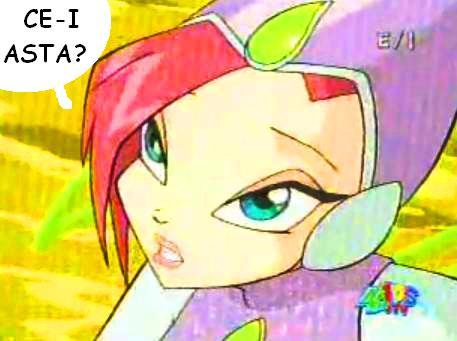 24 - B D cu Winx 4 EVER - Sezonul 6 - Episodul 05