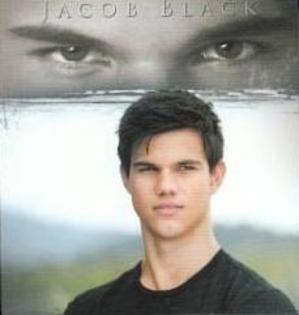 1 - Twilight