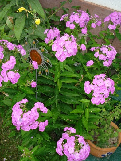 DSC07281