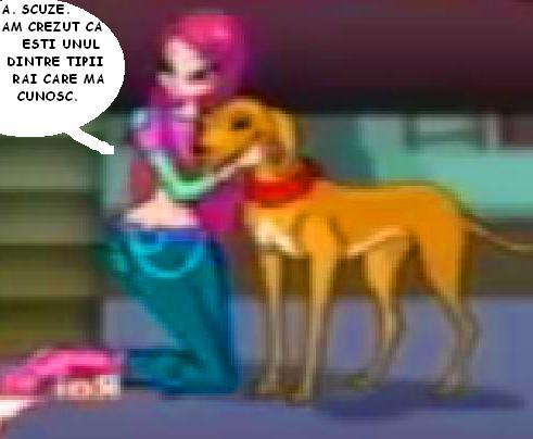 31 - B D cu Winx 4 EVER - Sezonul 6 - Episodul 06