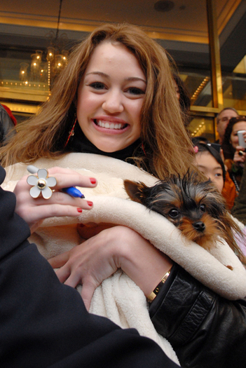 miley_puppy_sick - miley cool cool cool