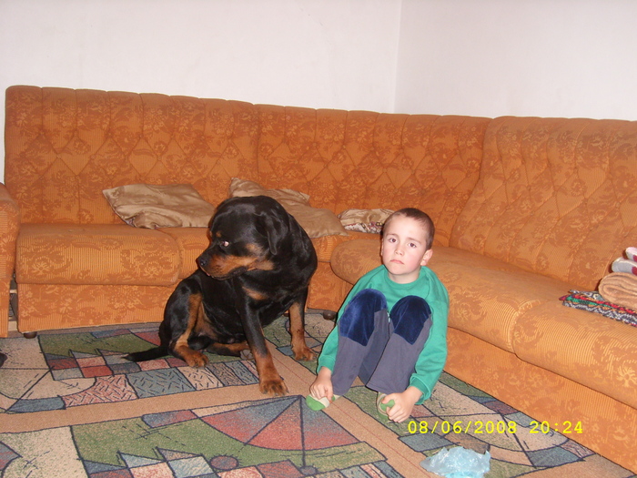 SL272902 - hunor si rottweileri