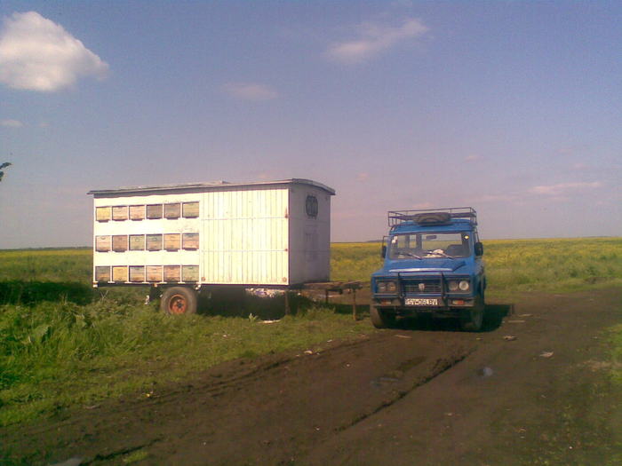 Imag297 - pastoral