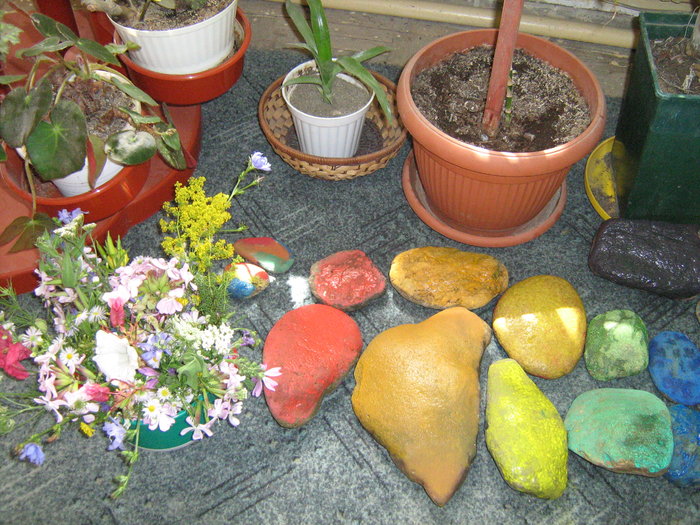 Flori langa curcubeu din pietre pictate