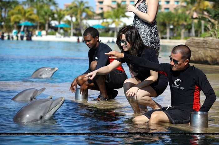 17388601_HXCNWPNOO - Demi Lovato At Atlantis in Paradise Island