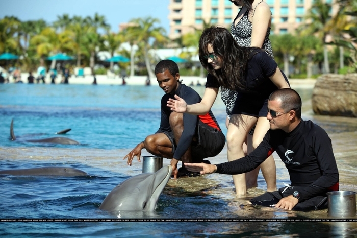 17388605_VMJRSSVDV - Demi Lovato At Atlantis in Paradise Island