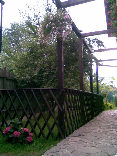 14 - 0019 Pergola realizata de noi in 2010