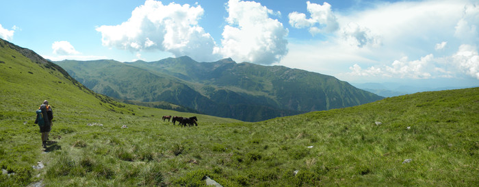 R8 - muntii RODNEI iulie 2010