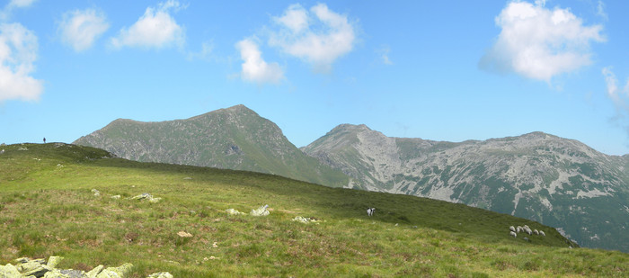 R16 - muntii RODNEI iulie 2010