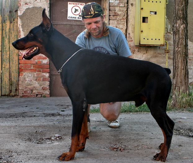 hector eyes of darkness - niko