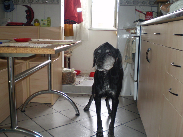 In asteptare; Stau si ma intreb cind primesc de papica?
