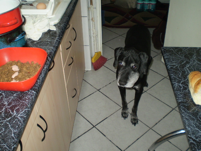 Ce sa fie ,ce sa fie ,parca seamana cu castronasul meu?; oare ce sa fie in castron
