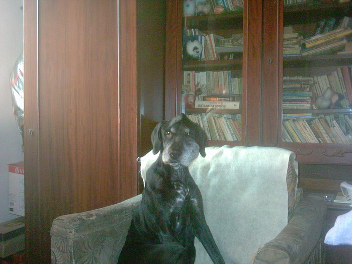 La pozat!; de ce te uiti la mine?stiu ca sunt frumusel!
