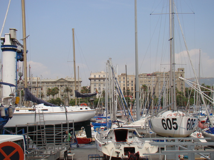 DSC06095