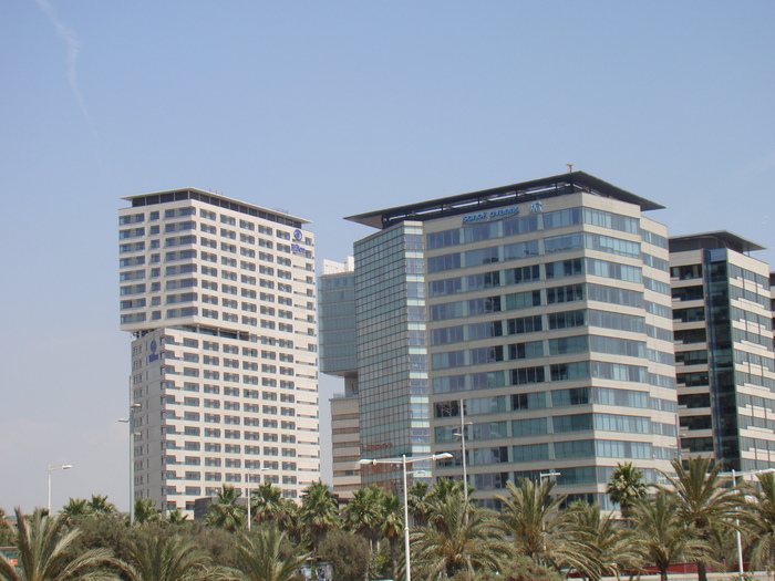 DSC06169