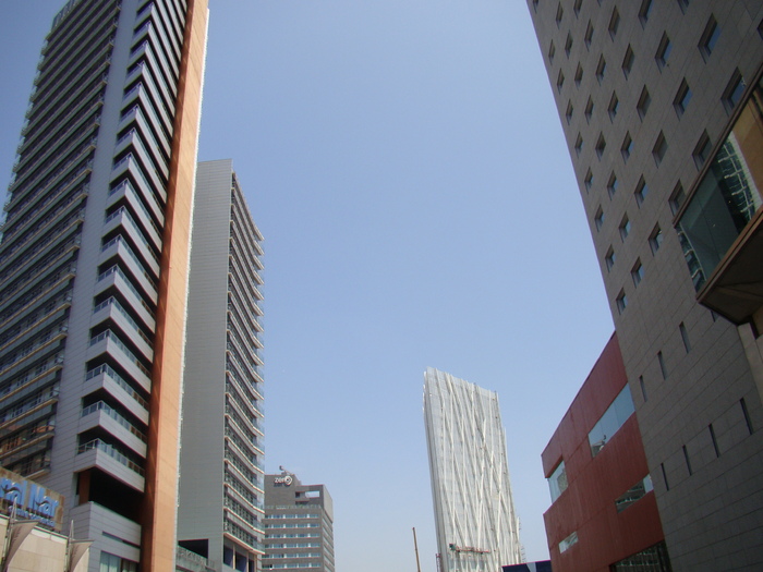 DSC06187