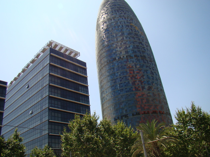 DSC06211
