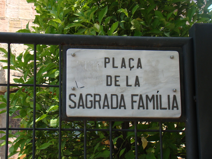 DSC06244