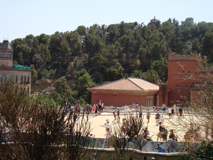 DSC06294