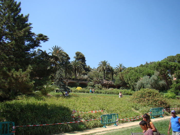 DSC06300