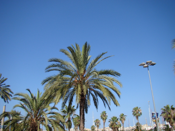 DSC06361