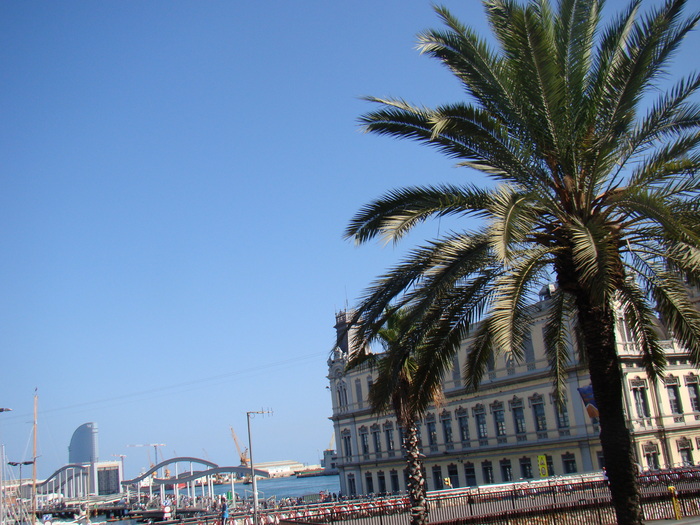 DSC06362