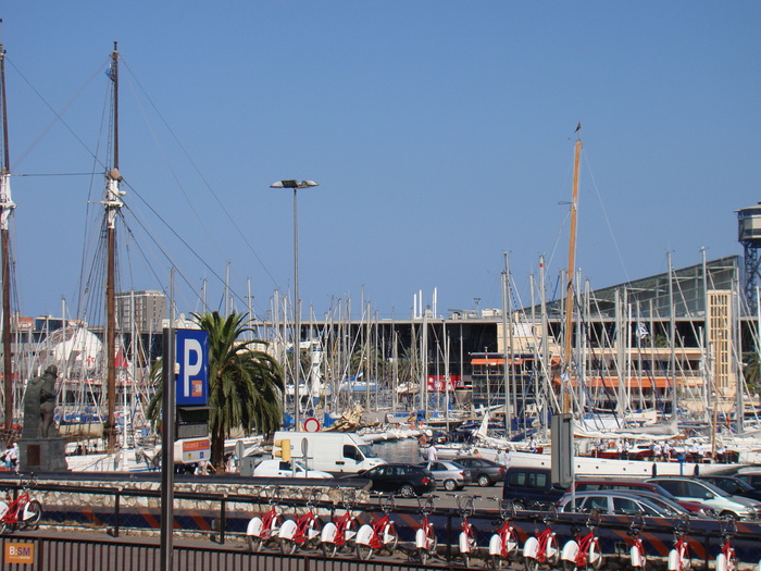 DSC06365