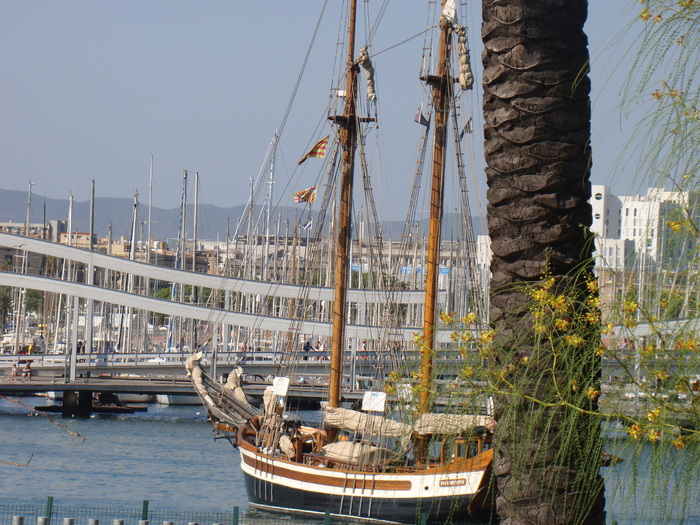 DSC06372 - Vacanta iulie 2010  BARCELONA