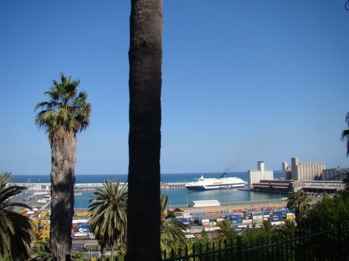 DSC06387