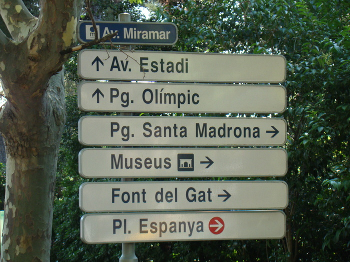 DSC06391 - Vacanta iulie 2010  BARCELONA