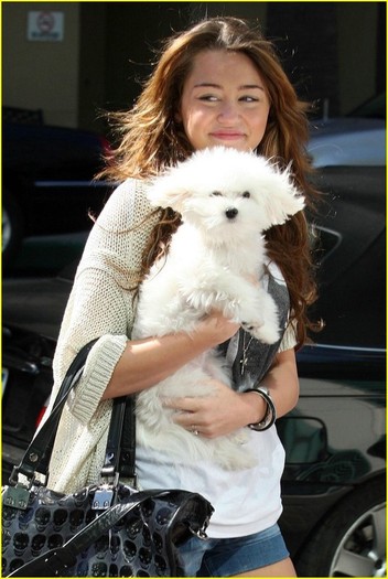 mileycyrussophiesundaymsegs - Miley and Sophie Cyrus Sunday Stroll