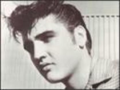 20070806092130_elvis