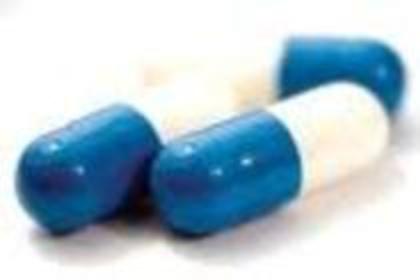 pastila pisica 2 lei - Magazin de animale