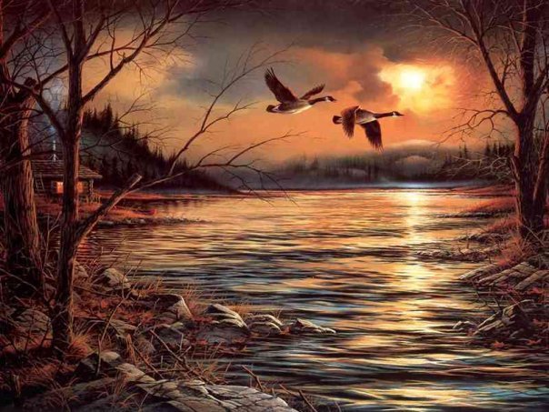 34579_134040073302424_100000892960287_160573_4909336_n - peisaje superbe