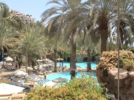 piscine-si-palmieri_712