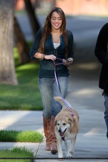 313gff5 - Miley walk the dogs with his father