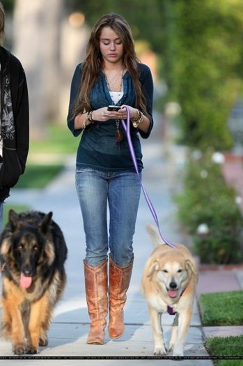 1548xf4 - Miley walk the dogs with his father