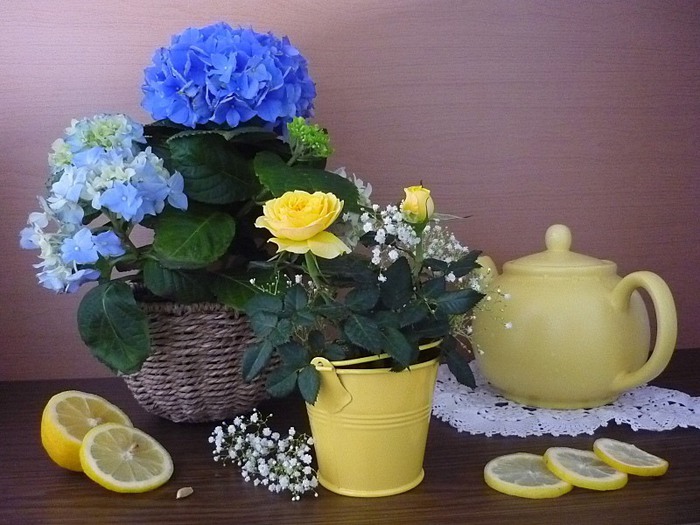 56313456_506 - inna korobova