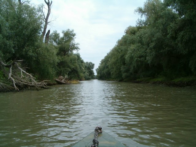 Peisaje Delta Dunarii (4) - Delta Dunarii