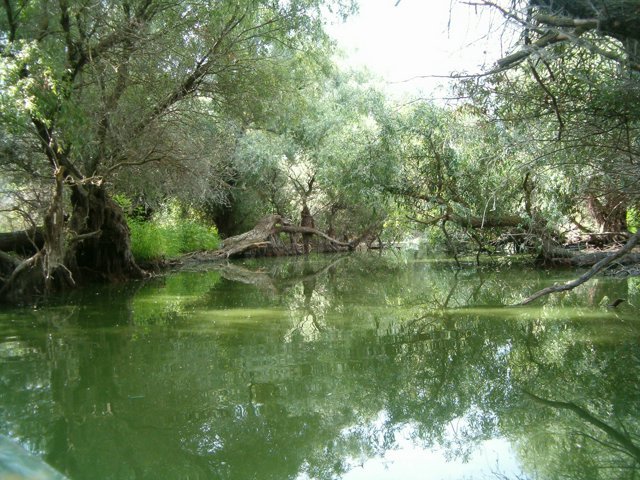 Peisaje Delta Dunarii (6)