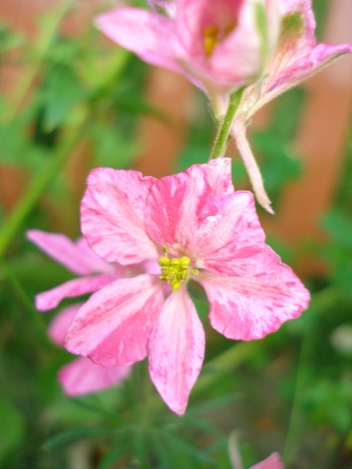 DSC07657