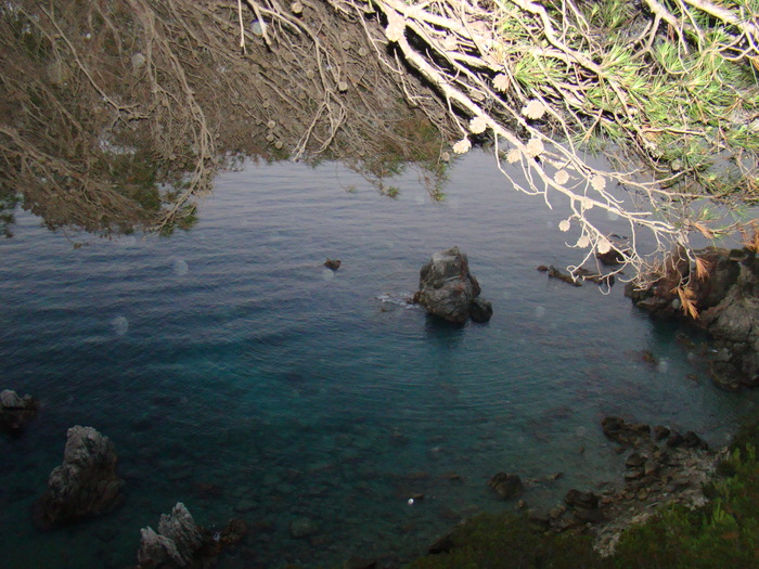 DSC06549